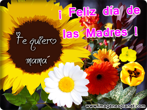 Día de la madre, frases, imagenes,tarjetas, postales, feliz día de la madre, 2015 Día de la madre, frases, imagenes,tarjetas, postales, feliz día de la madre, 2015