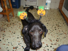 IT'S  HALLOWEEN  TIME!!!!!
