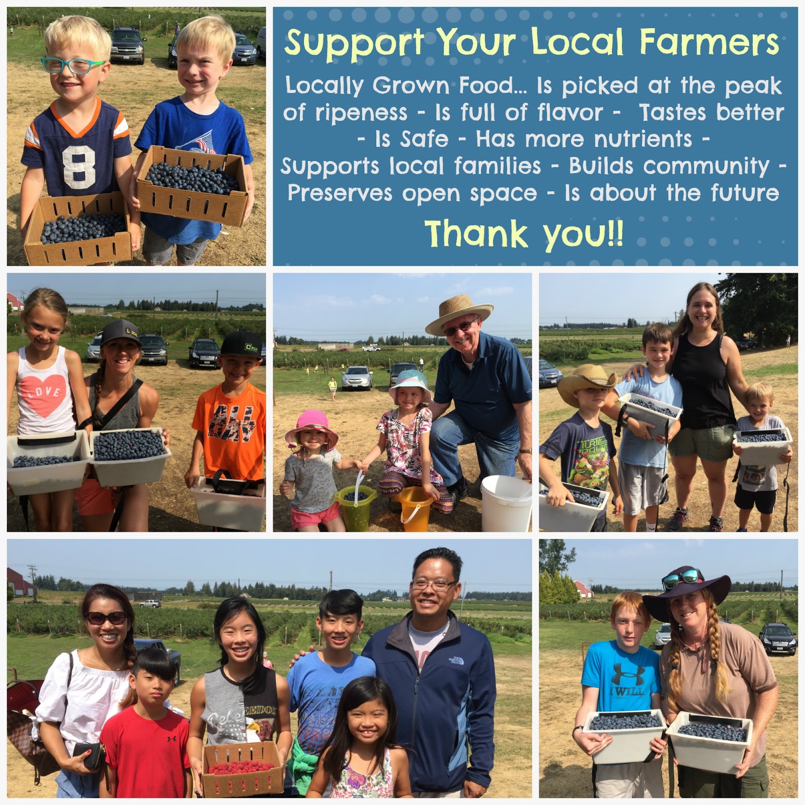 Haugen's Raspberry Farm