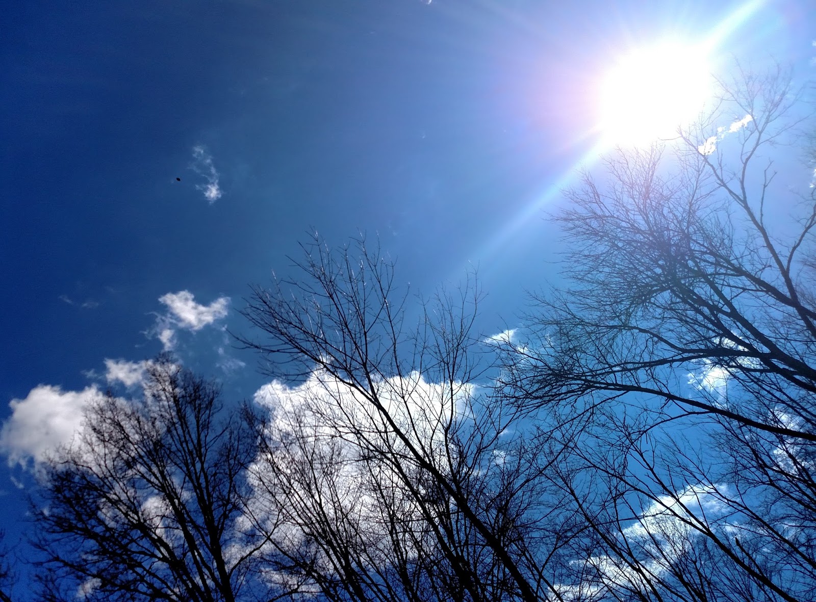 Galionite: Galion Ohio Weather Predictions for the Week of May 7th 2018