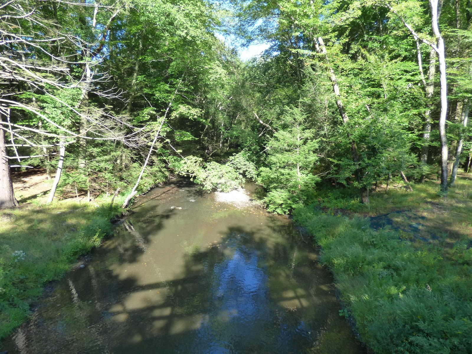 Let's Just Go Somewhere Pine Grove PA & Swatara Trail