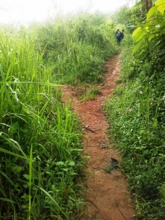 Simpangan jalan Simpangan jalan