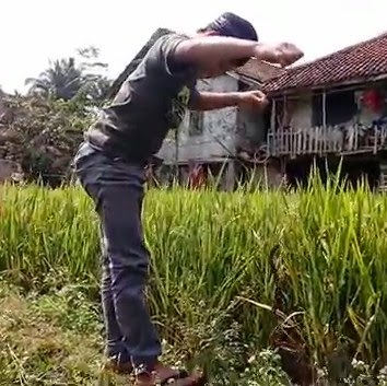 Tips Mudah Mancing Belut Tips Mudah Mancing Belut