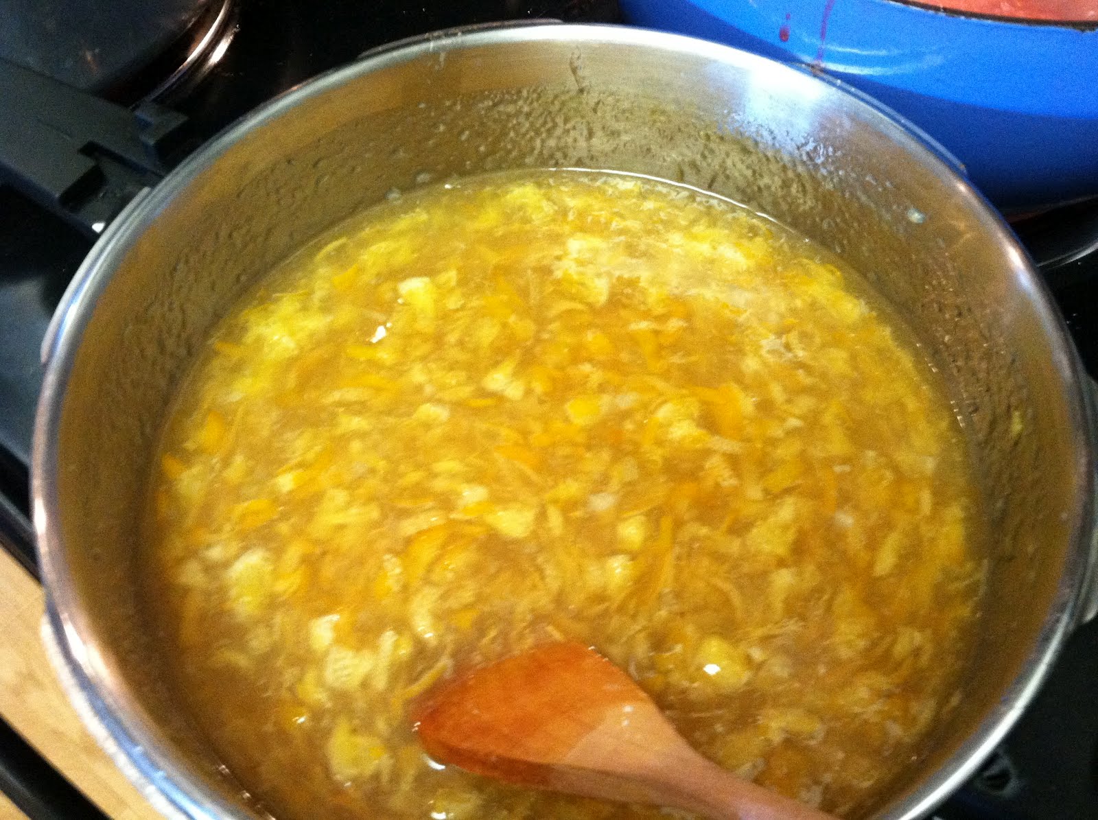 The Landless Homesteader Citrus marmalade recipe (without added pectin)
