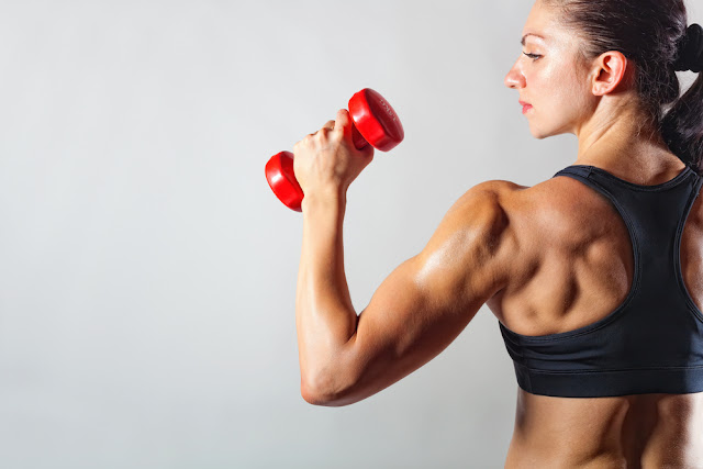 Latihan Beban (Weight Training) Latihan Beban (Weight Training)