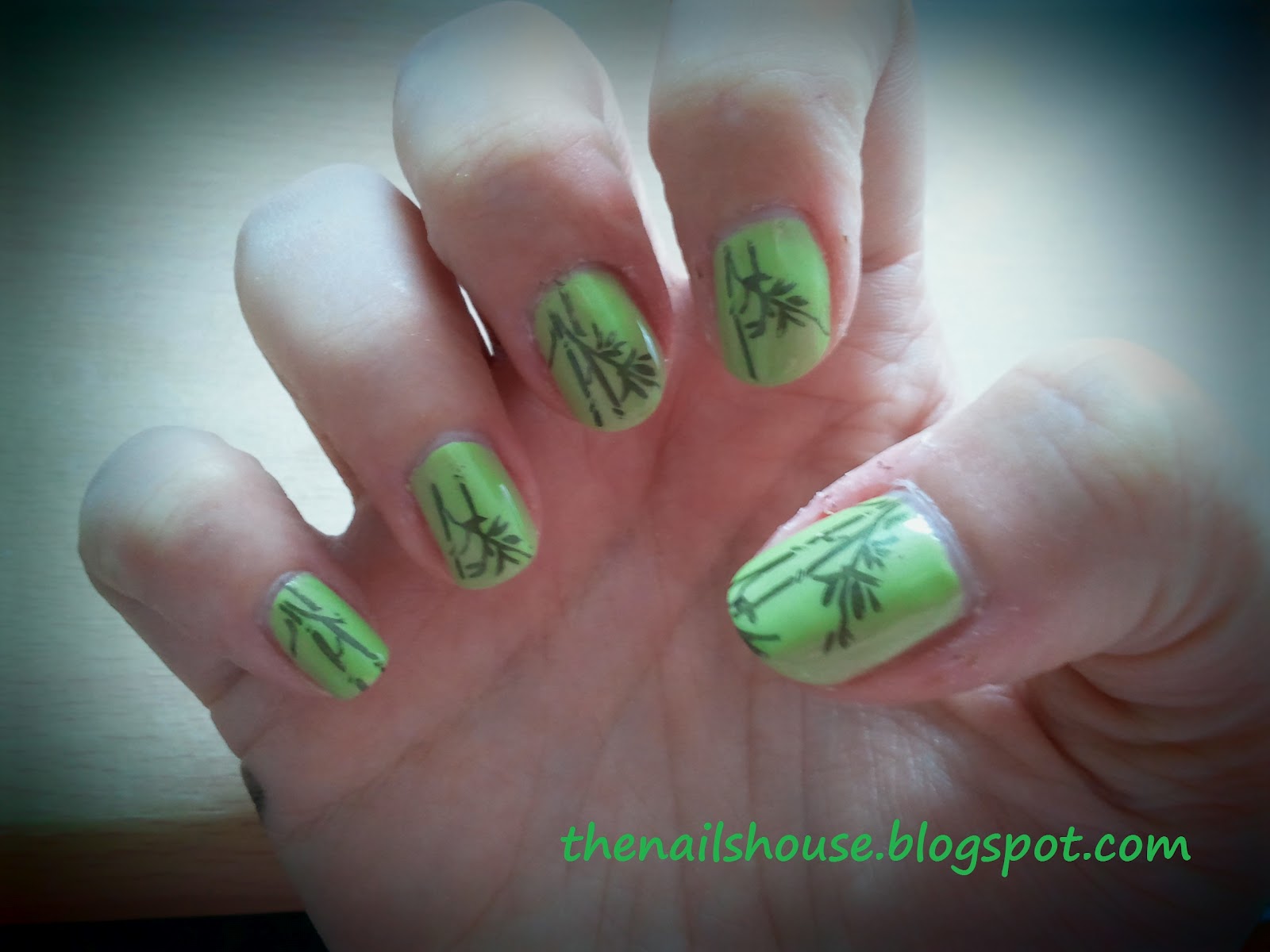 Nail Art Bambou Stamping M66 THE NAILS HOUSE