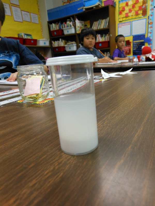 The Busy Bees Is toothpaste a solid or a liquid?