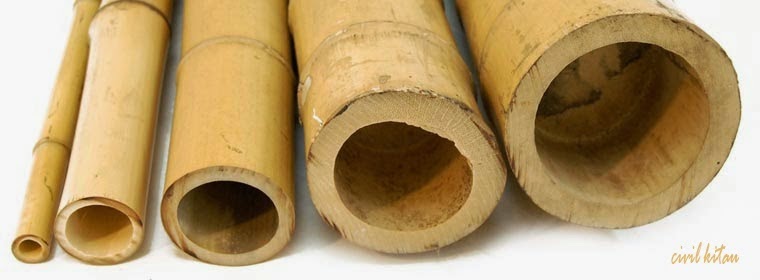 Apa + dan - dari Bambu? - DarusBlog