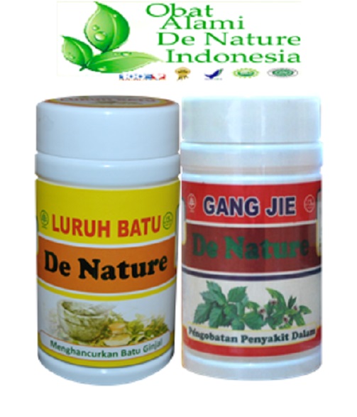 Obat batu ginjal alami tanpa pembedahan