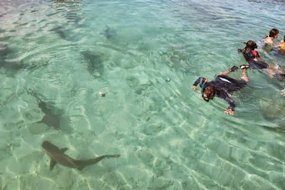 Paket Liburan Murah Karimunjawa Jepara Paket Liburan Murah Karimunjawa Jepara