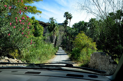 Drive through the oasis to San Jose de Comondu
