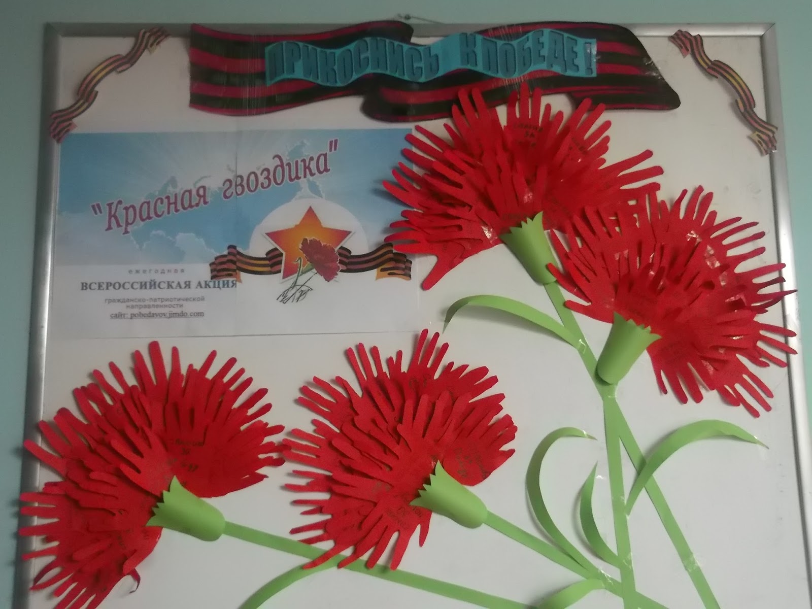 Всероссийская акция красная гвоздика. Акция красная гвоздика. Акция гвоздика памяти. Благотворительная акция «красная гвоздика». Акция красные гвоздики.