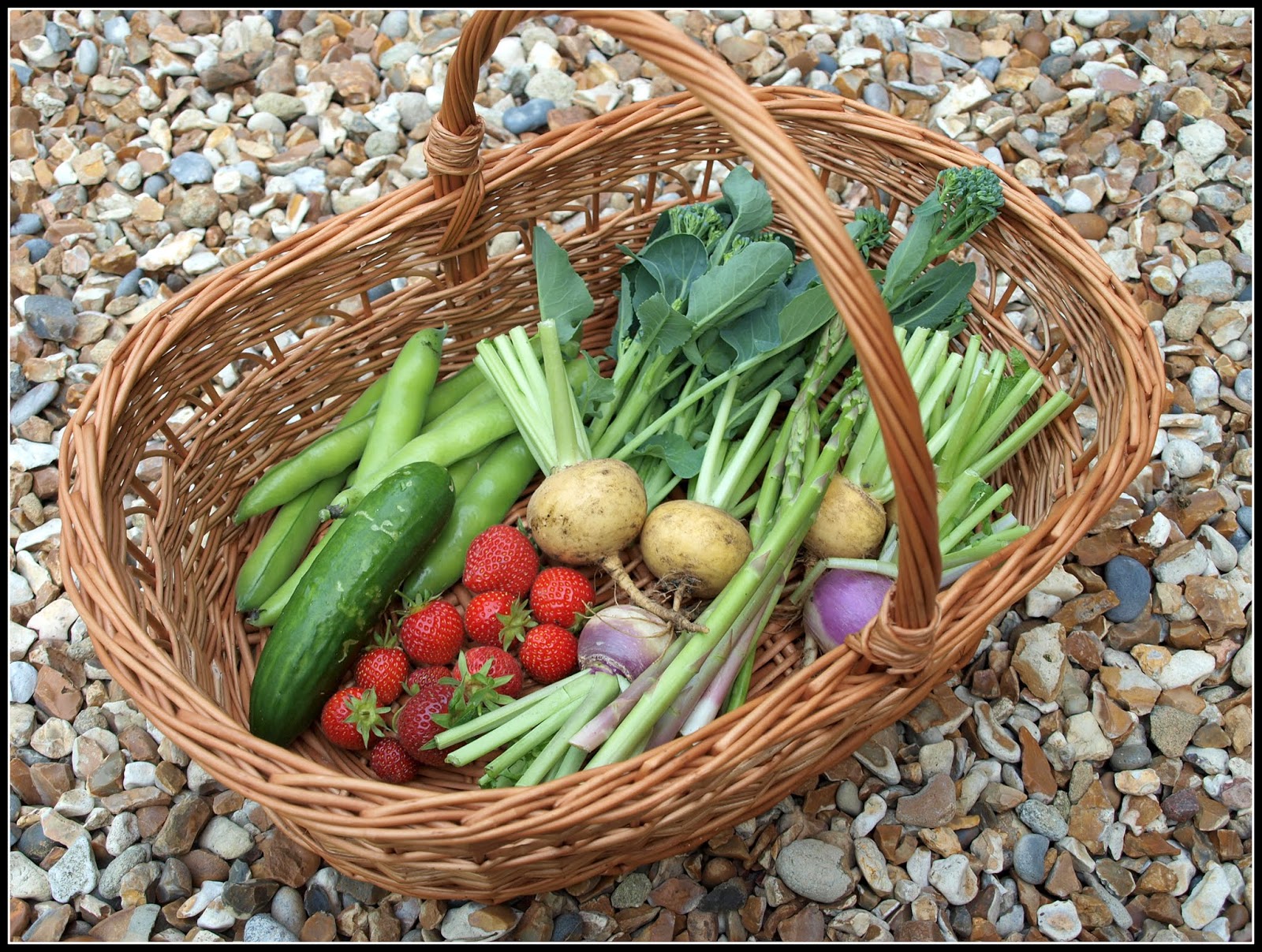 Mark's Veg Plot A basket case? Making the case for baskets.