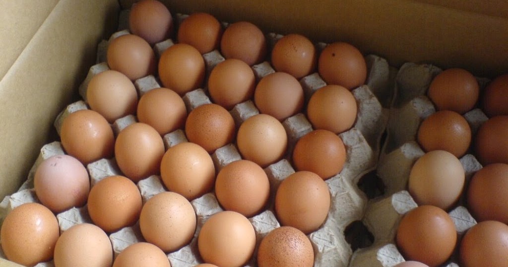 Distributor Telur Surabaya, Usaha Telur Asin, Bisnis Telur Ayam Negeri