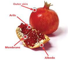 Pomegranate Health Uses in islam