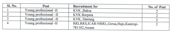 AAU Recruitment 2020 : Apply for total 8 Posts of Young Professional II Post 2 Untitled