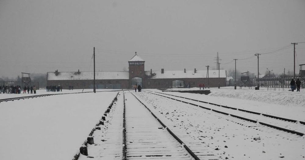 Tra le righe...: Liliana Segre a 13 anni nella neve di Auschwitz ingrigita dalla cenere dei ...