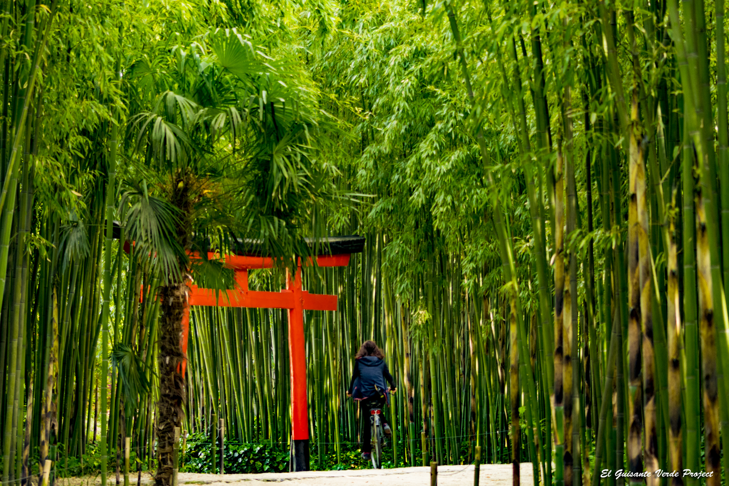 Lugares para conocer gente sangonera la verde Lugares para conocer gente sangonera la verde
