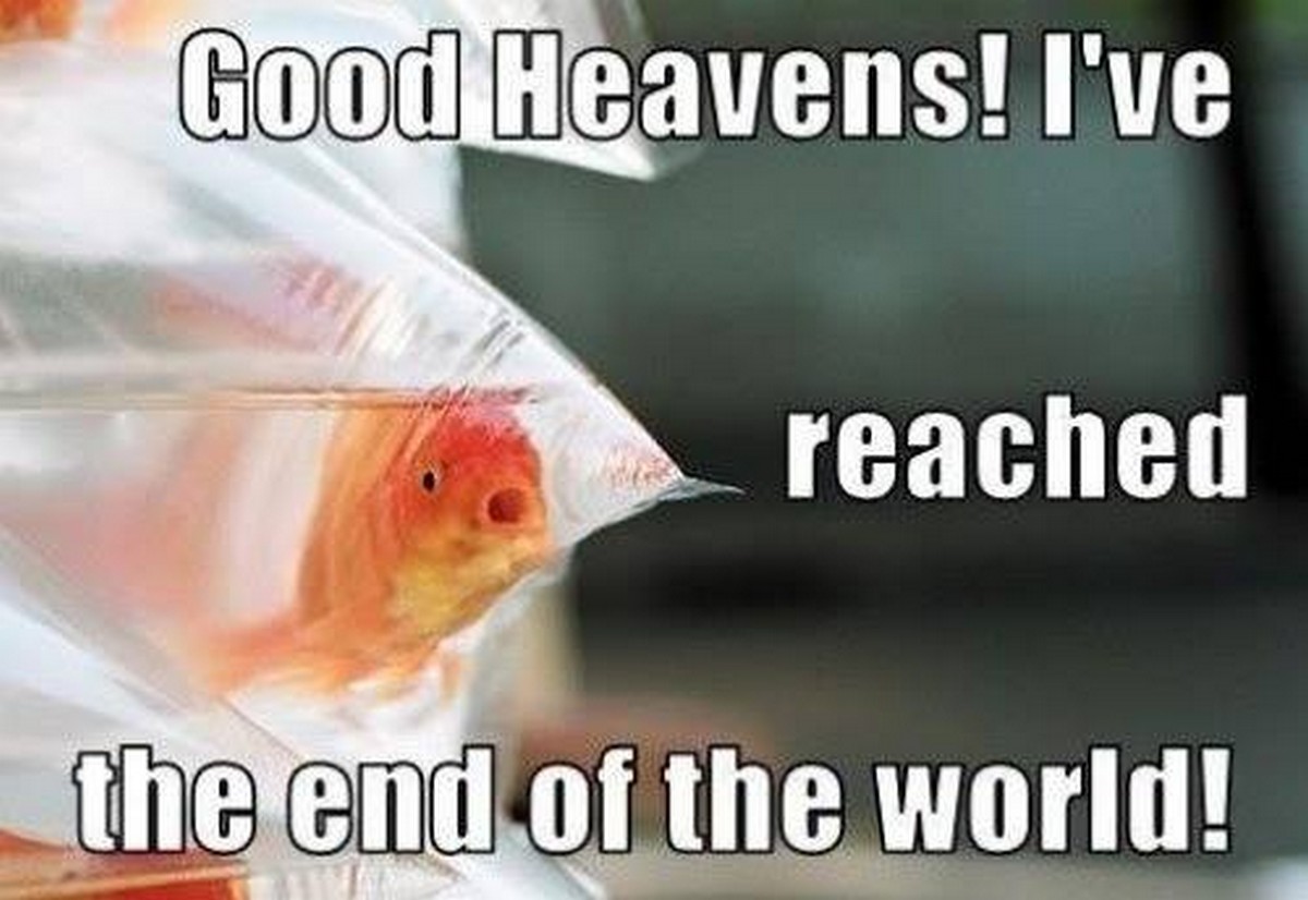 Reached the end. Good Heaven. Silly Fish pictures.