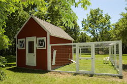chicken coops coop designs plans chickens building shed backyard run yard farm build garden walk poultry coup runs diy pen