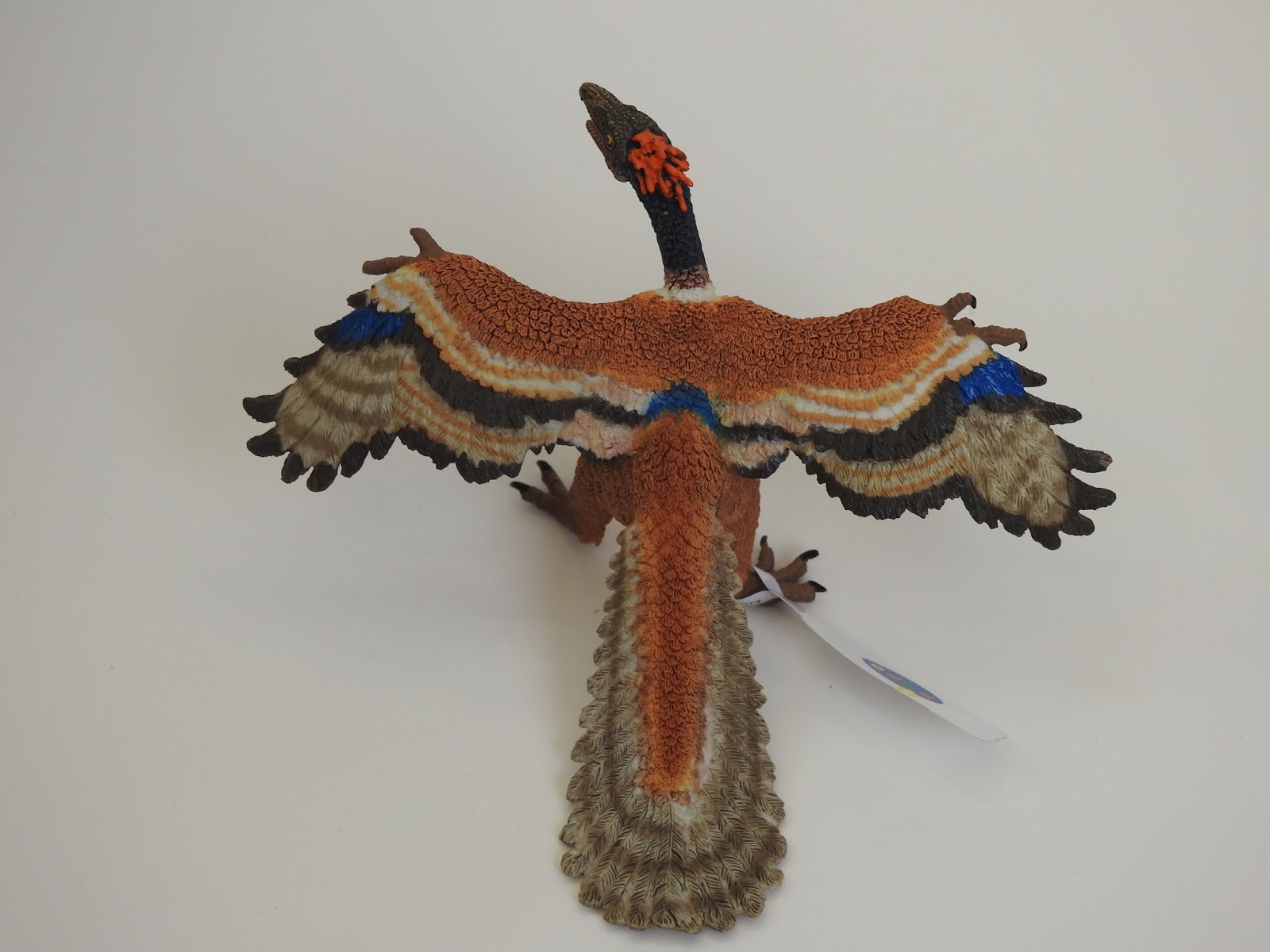accurate archaeopteryx