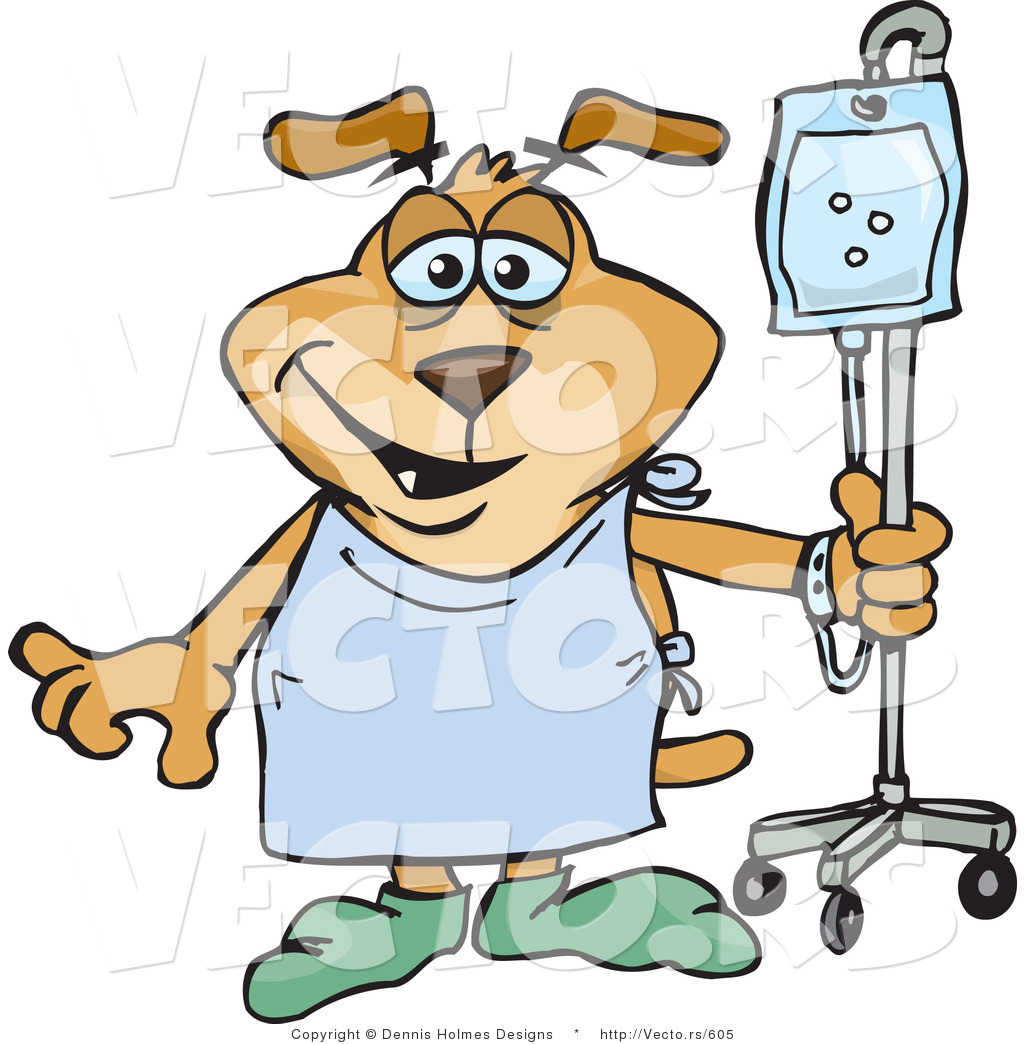 The Visiting Vet Tech Blog Post Operative Care