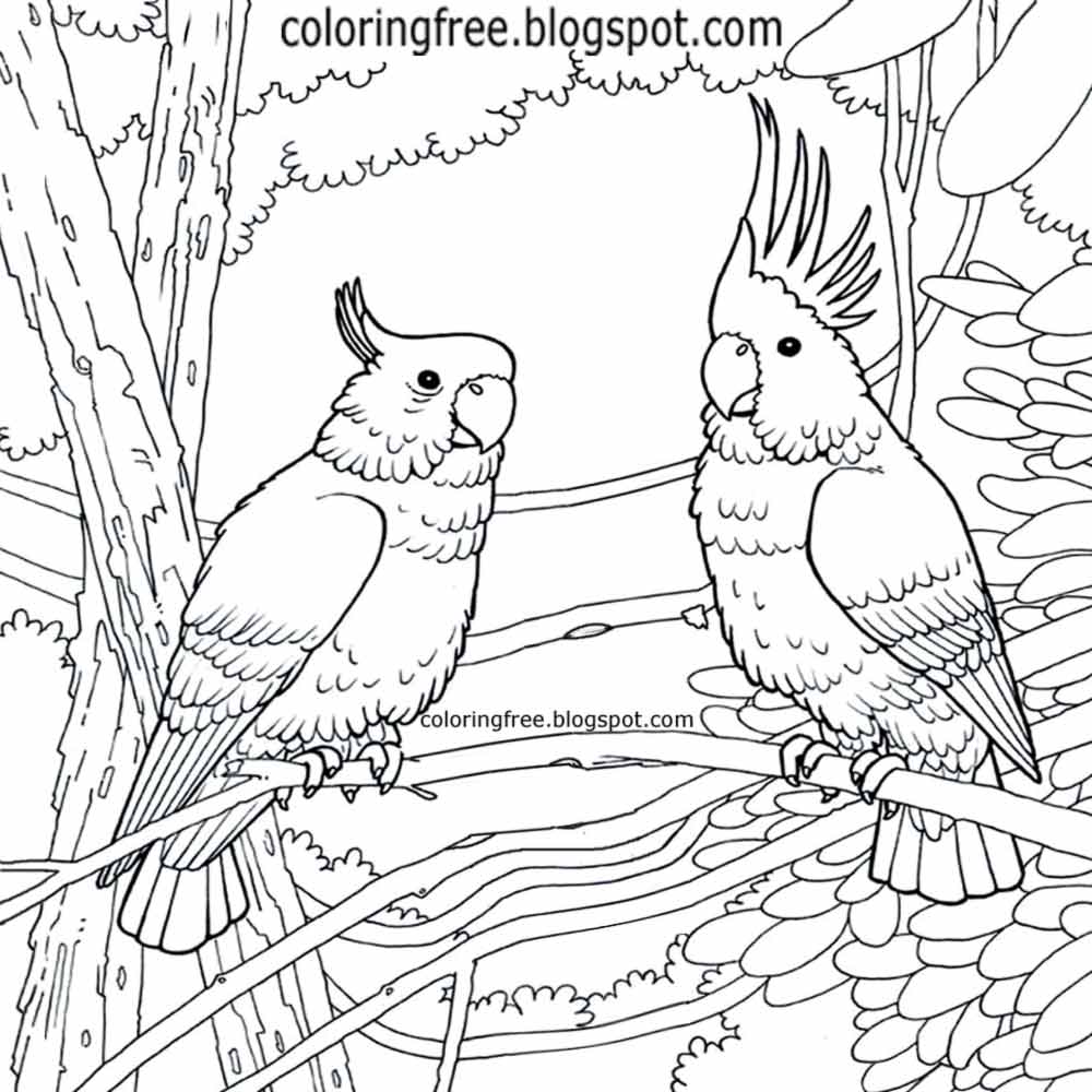 Free Coloring Pages Printable Pictures To Color Kids Drawing ideas