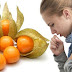 Eating Golden Berries or “Tino-Tino” Can Help You Boosts Digestion, Reduce Bad Cholesterol Level, and Cleanse the Blood
