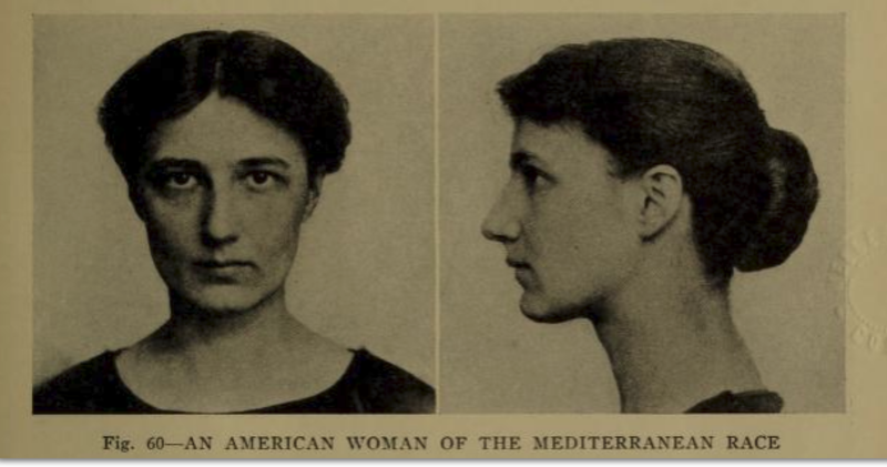 фенотип женщины. фенотип женщины. таблица фенотипов. славянский тип лица женщины. балтид нордид внешность.