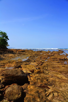 Pantai Karapyak yang Masih Perawan Pantai Karapyak yang Masih Perawan