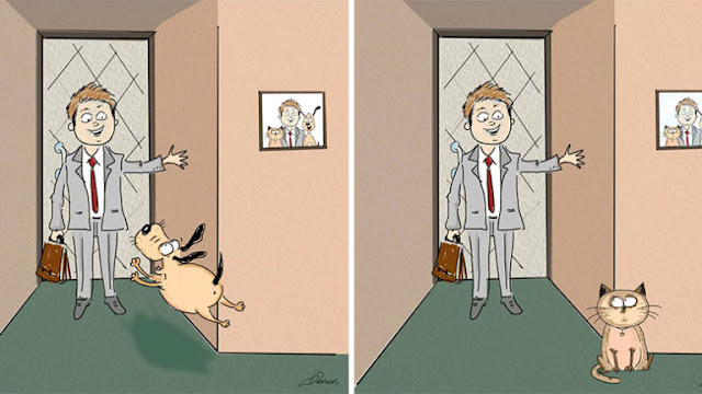 Кот или пёс