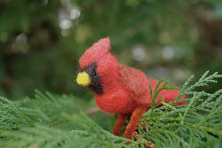 cardinal flying bird cardinals wild birds sweet