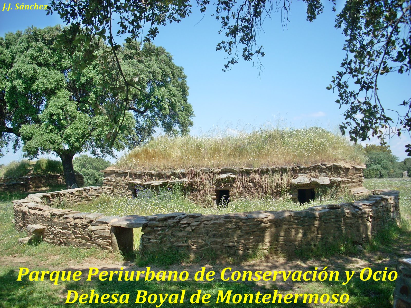 Parque Periurbano de Conservación y Ocio “Dehesa Boyal de Montehermoso”