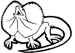 Images Of Best Of Lizard Coloring Sheet Images Of Best Of Lizard Coloring Sheet