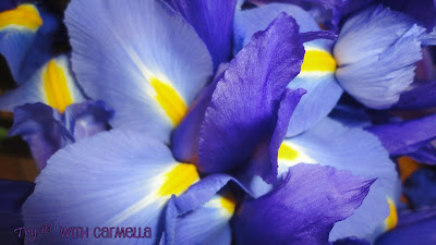 *Try It With Carmella*: Purple and Yellow Flowers