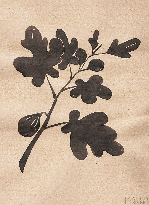 Fig twig, ink study by Alicia Sivertsson. aliciasivert alicia sivert alicia sivertsson monthly makers växter juni tema 2016 skapa skapande kreativitet utmaning blogg bloggutmaning måla bläck växt blommor paint painting ink flowers flower create make art craft handicraft fig twig fikon fikonträd fikonkvist kvist