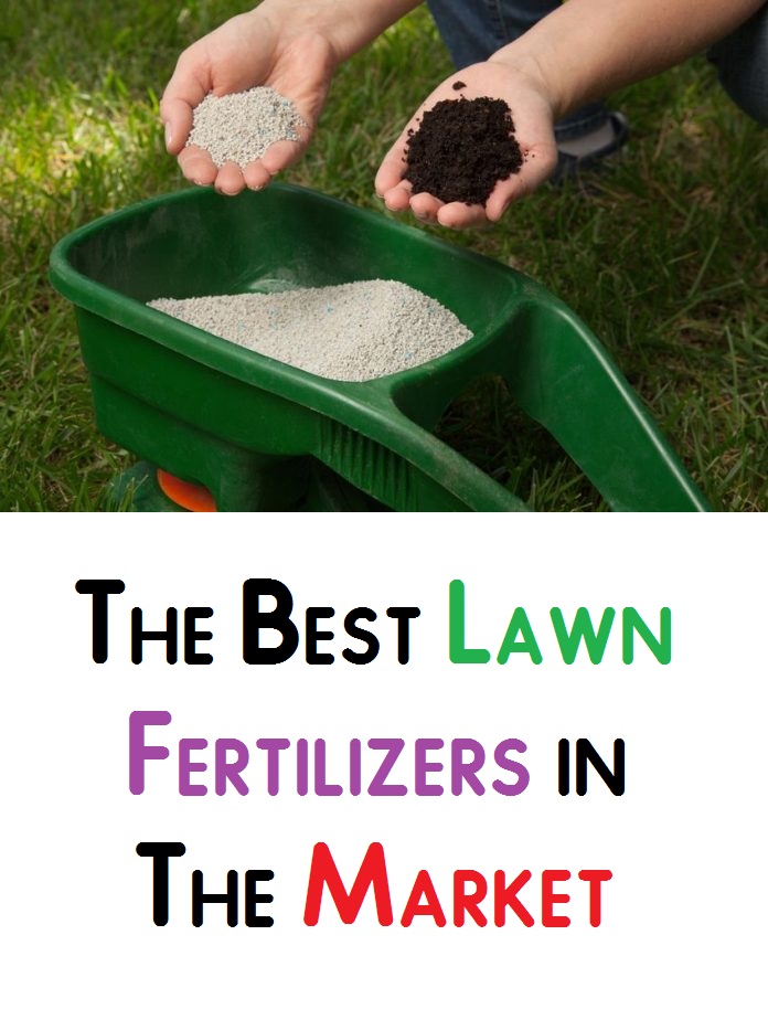 The Best Lawn Fertilizers in The Market