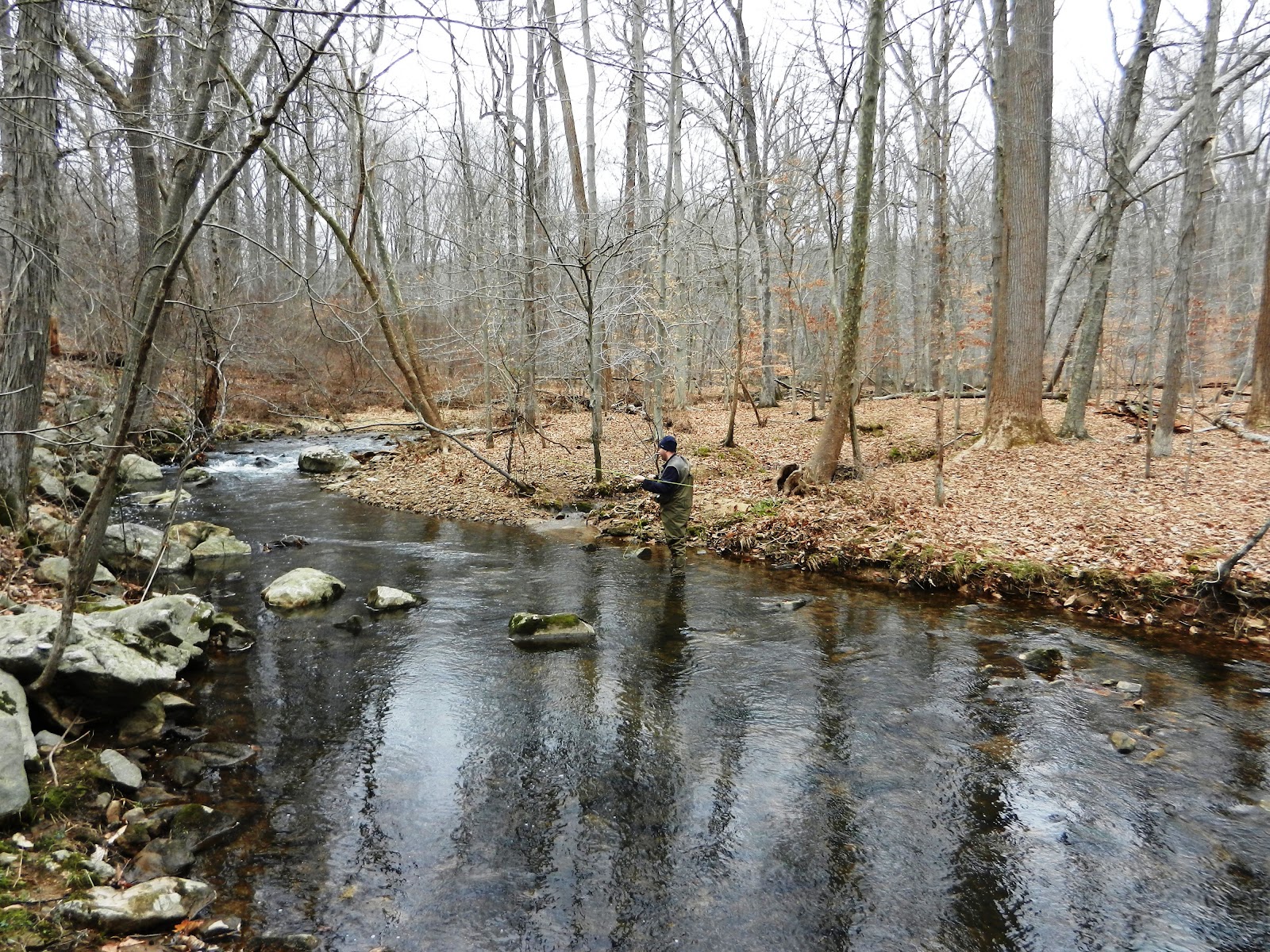 TM Gallery Headwaters Passaic River