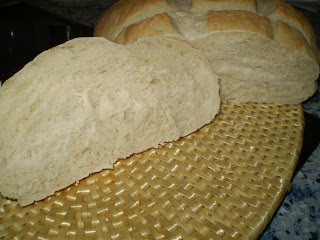 PB170659.JPG