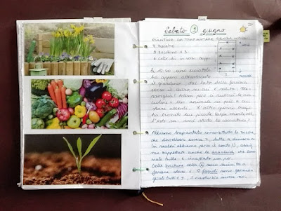 Programmare l'orto: calcolare lo spazio a disposizione Programmare l'orto: calcolare lo spazio a disposizione