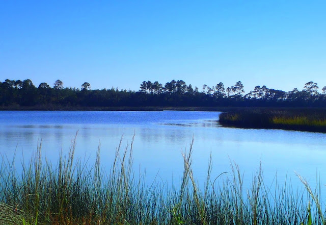 Faver-dykes state park florida photo by dear miss mermaid