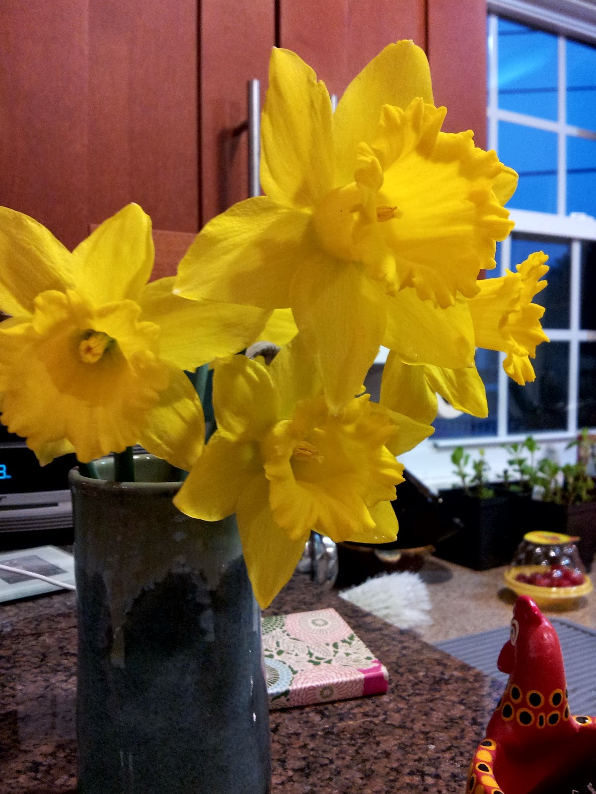 Advancing the Plot Caring for Bulbs After They Bloom