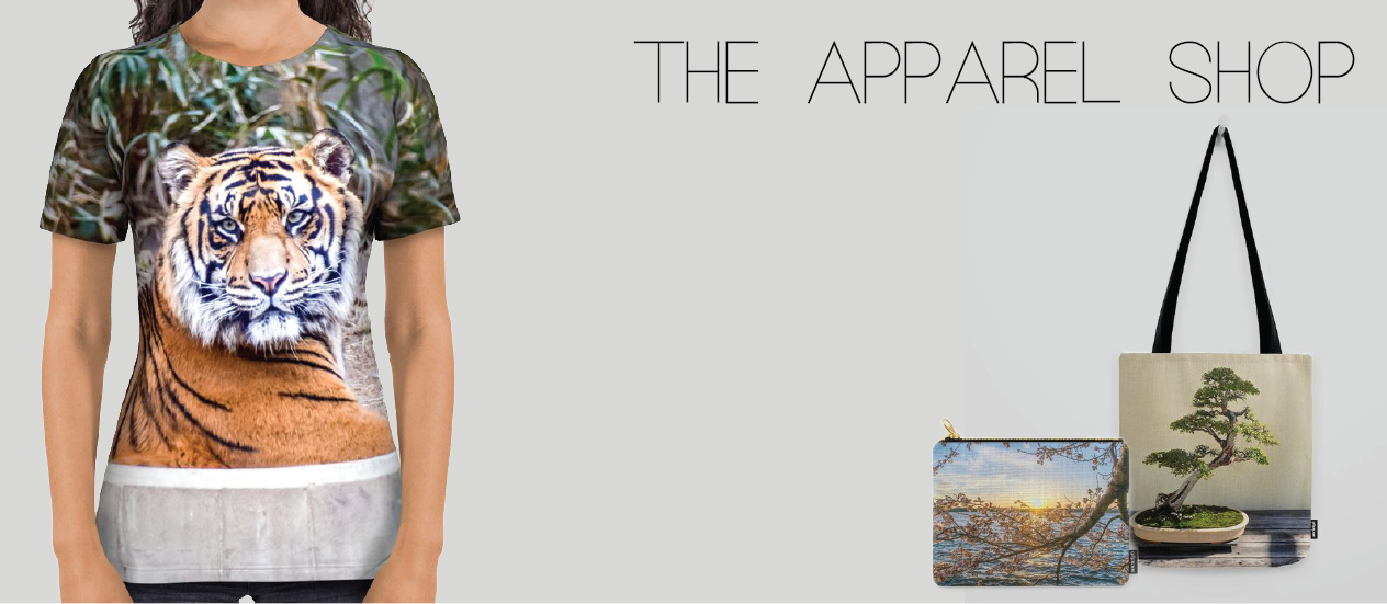The Apparel Shop