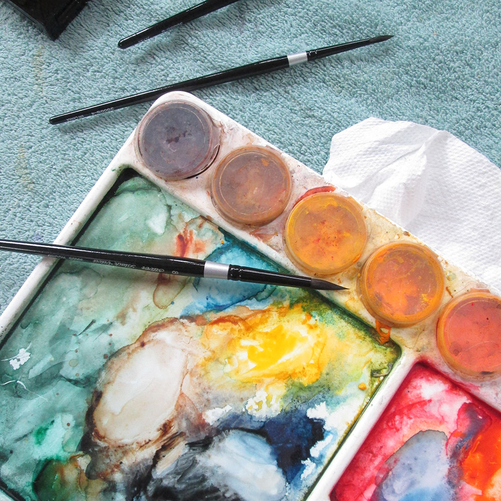 possum palette