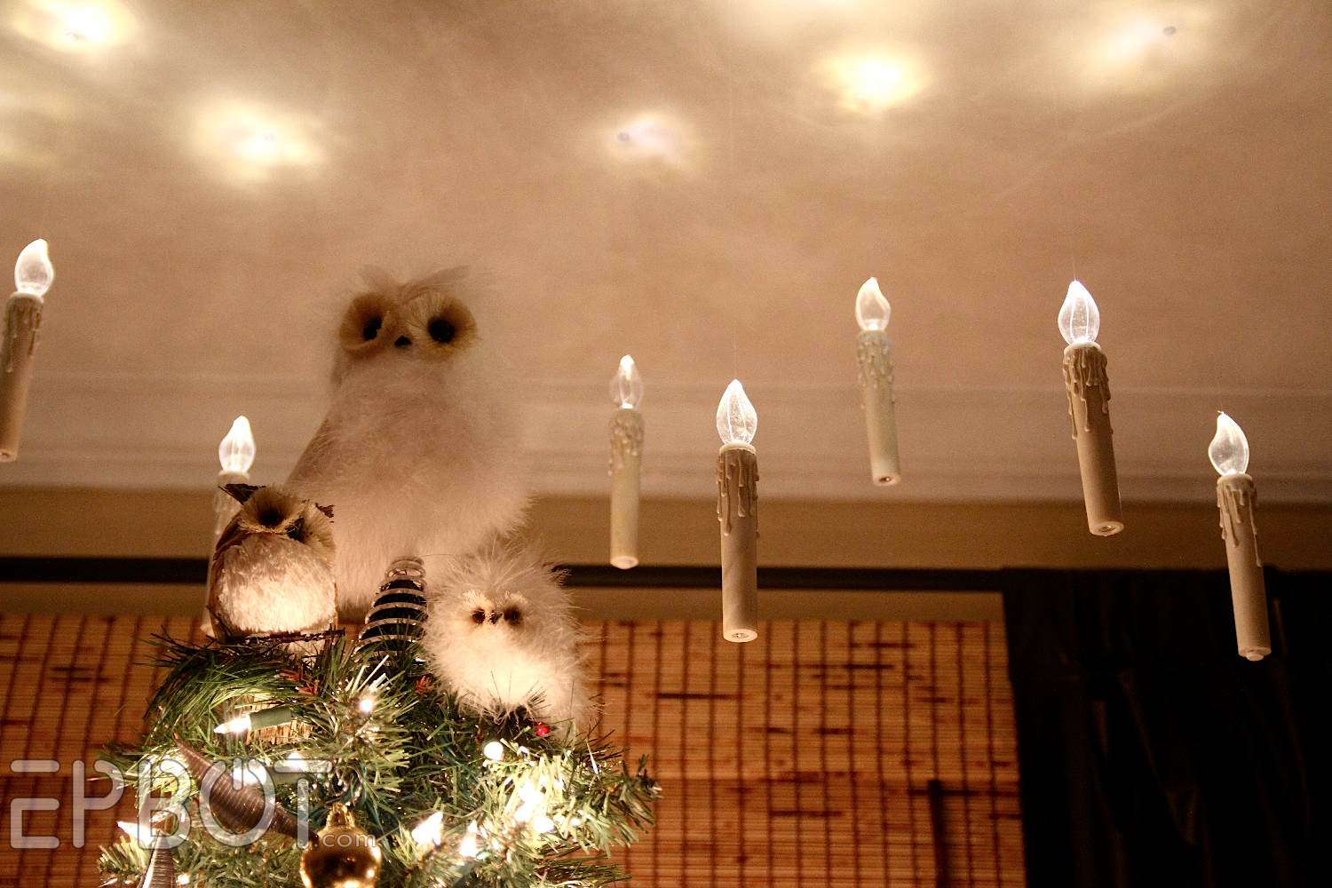 EPBOT Harry Potter Inspired Floating Christmas Candles!