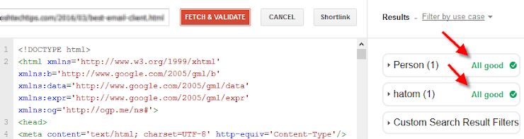 Google structured data testing tool result