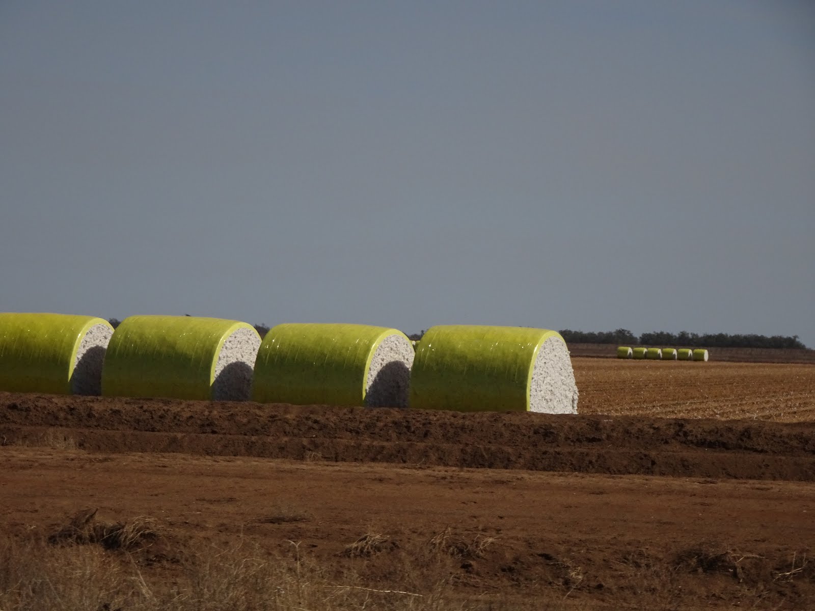 jannimary Destination Gulargambone