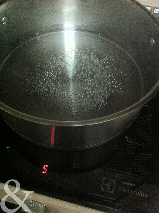 Electrolux Portable Induction Cooktop No Gas, No Problem