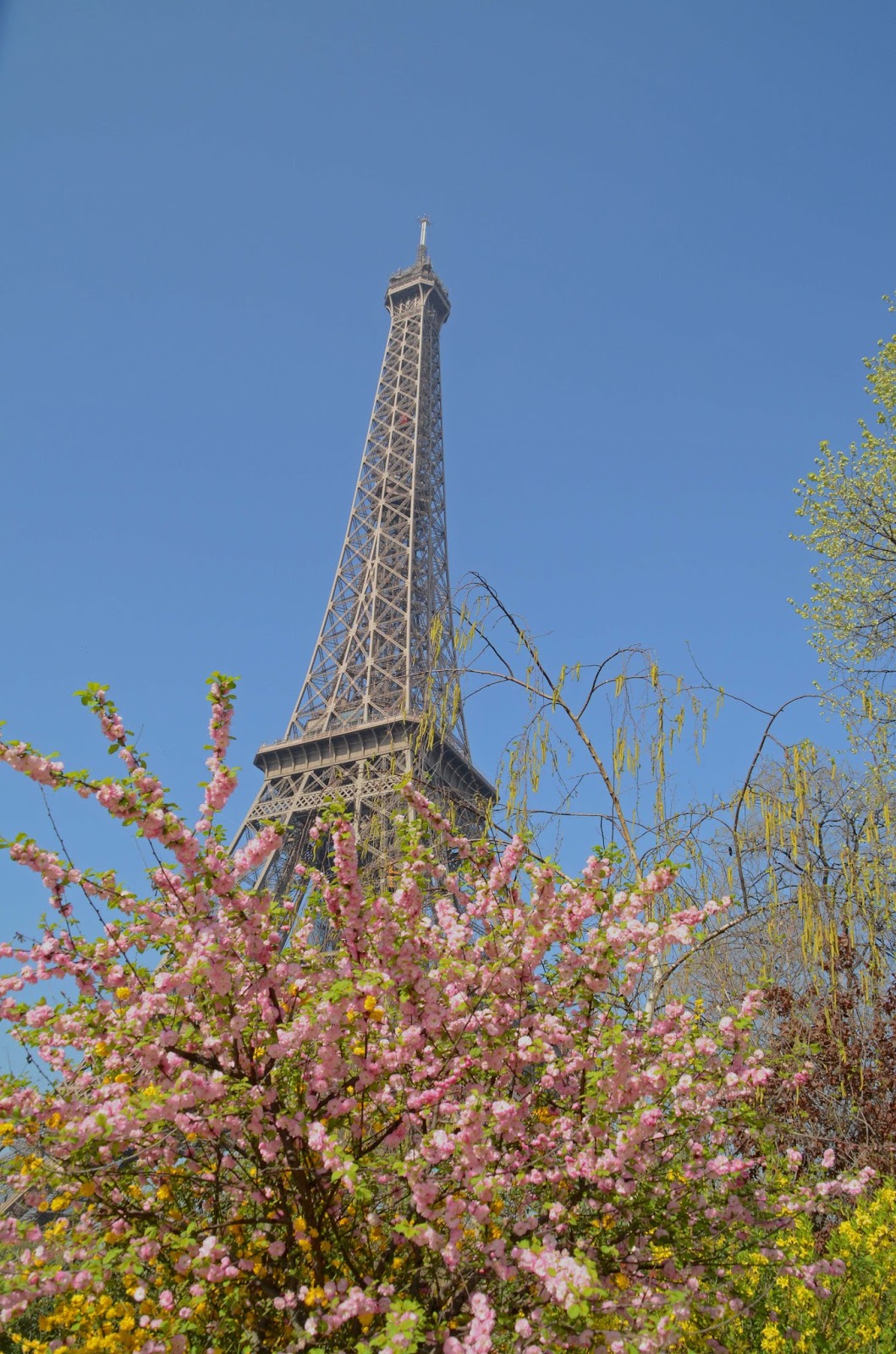 Paris and Beyond Paris au printemps