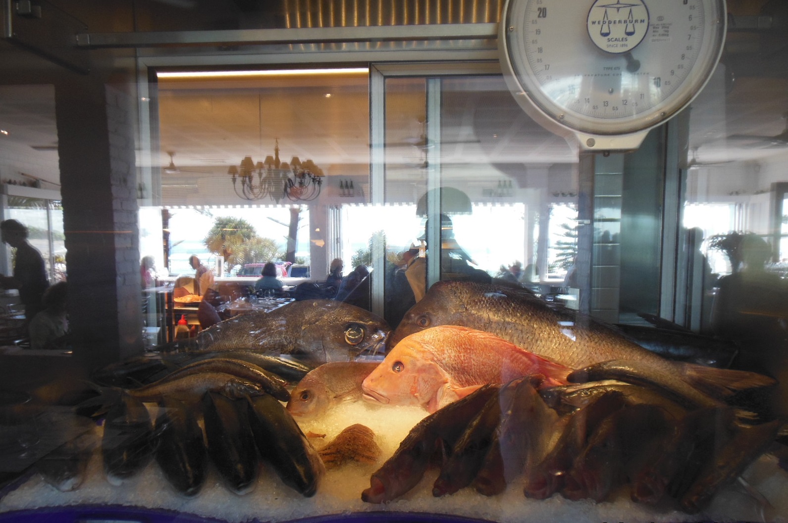 The Fish House, Burleigh Heads (QLD) by Foghorn Leghorn Eat and Be